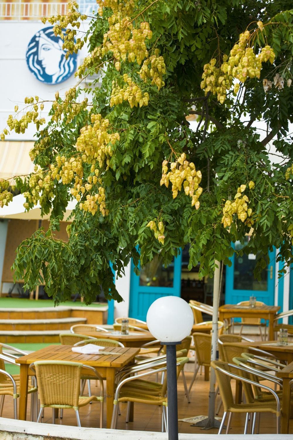 Kaliopa Hotel Albena Extérieur photo